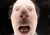 oustric gerald