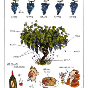 Affiche La Vigne par Zoé Thouron