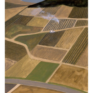Affiche Vigne en hiver