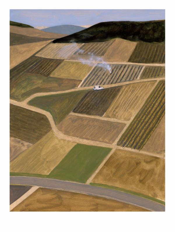 Affiche Vigne en hiver