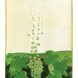 Affiche Bulles de champagne