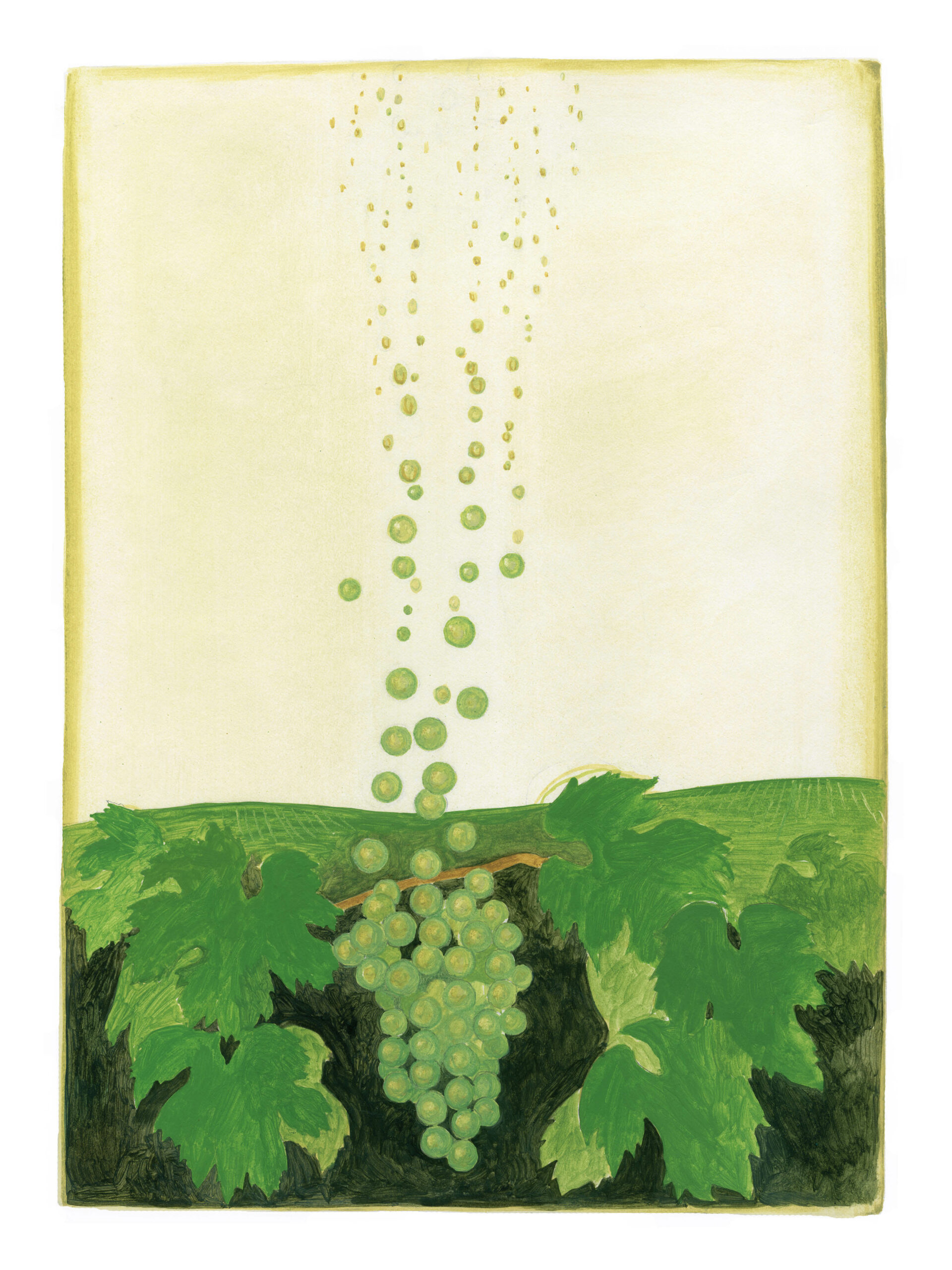 Affiche Bulles de champagne
